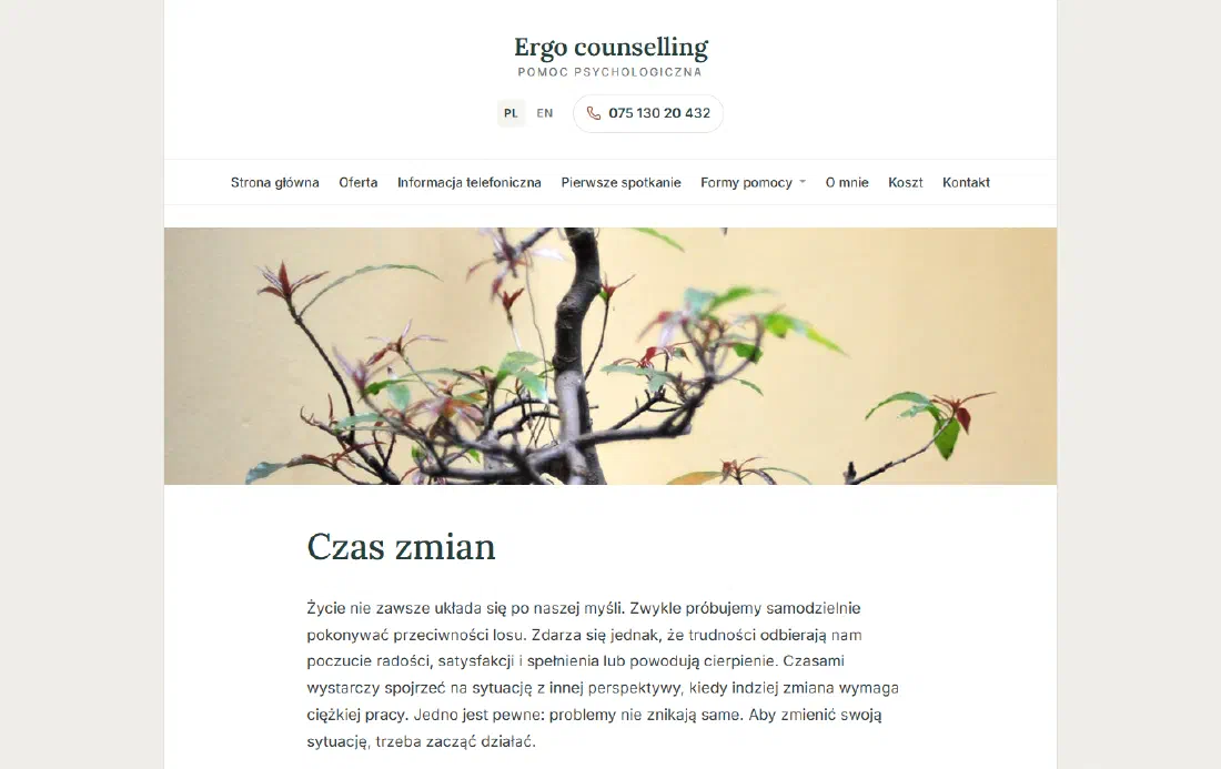 Desktop view: Simple websites
